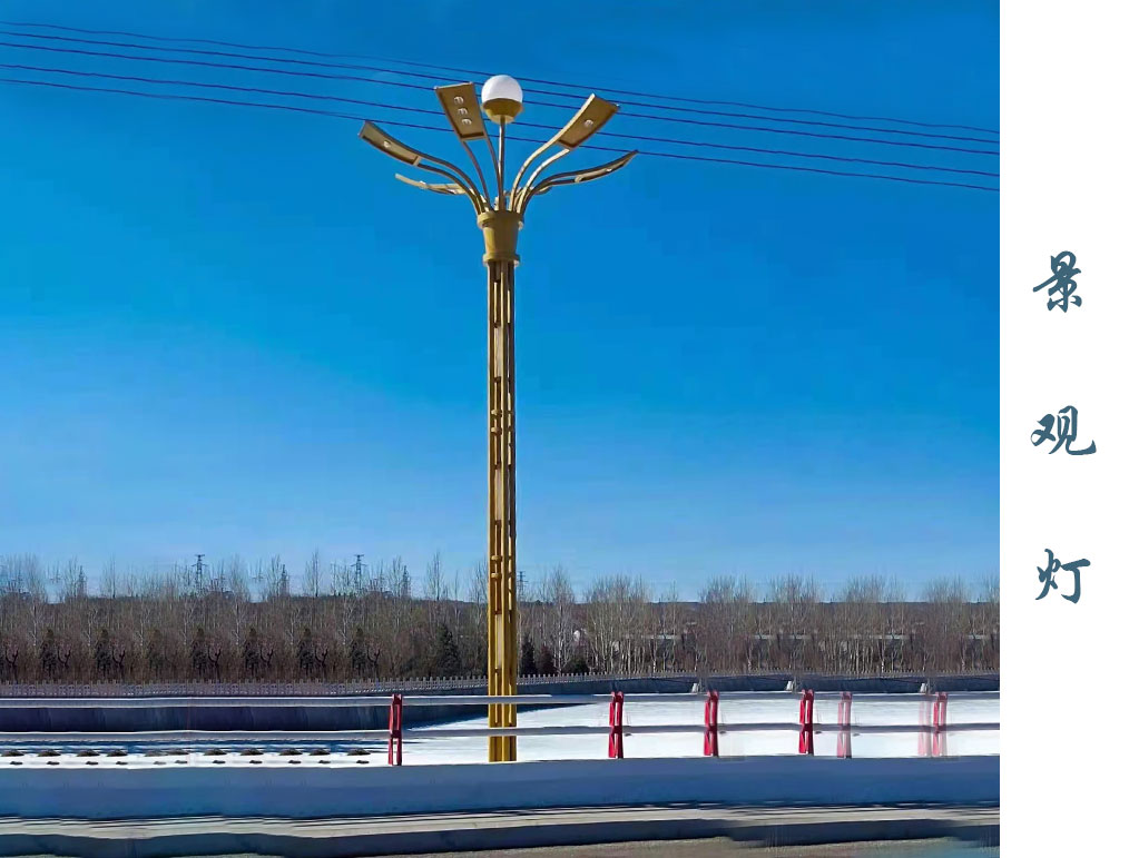 大型景观灯  JGD-004